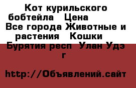 Кот курильского бобтейла › Цена ­ 5 000 - Все города Животные и растения » Кошки   . Бурятия респ.,Улан-Удэ г.